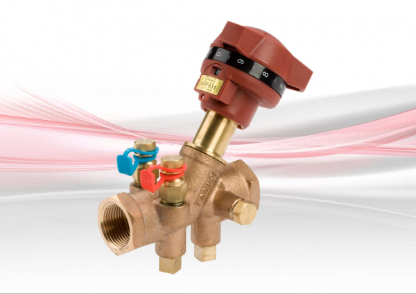 Companion Valve - adecuada para DPCV con terminación hembra - Bronce/ DPF931 DN15 - DN50